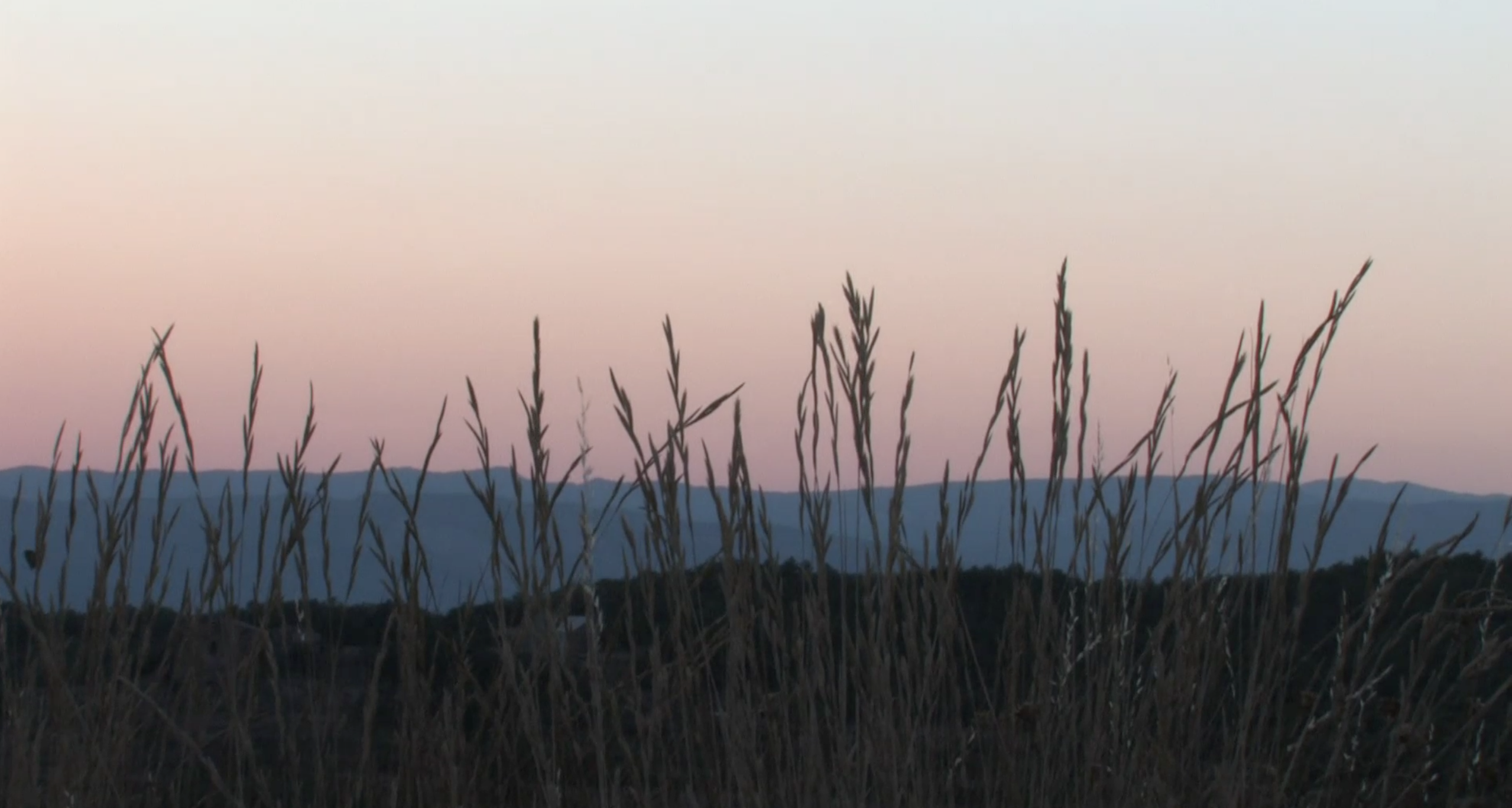 PRESENTACIÓ D'”ENTRE ELS PLECS”, DE MARTA RICART Un documental sobre la cultura als petits municipis i zones rurals